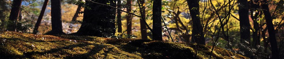 生らくご – 広島で生の落語を聴く会